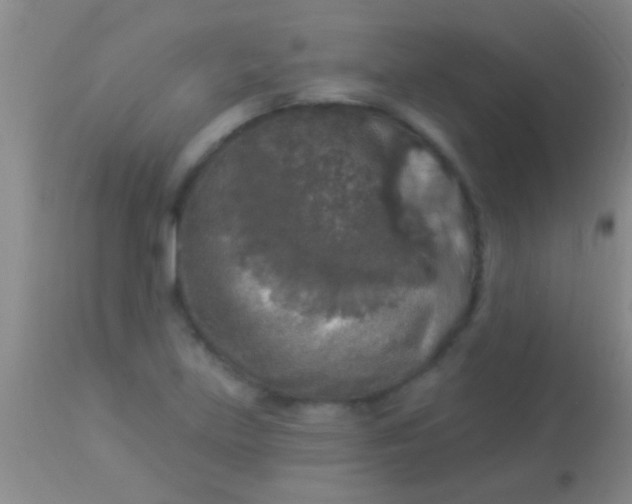 X0000113961219200910161955