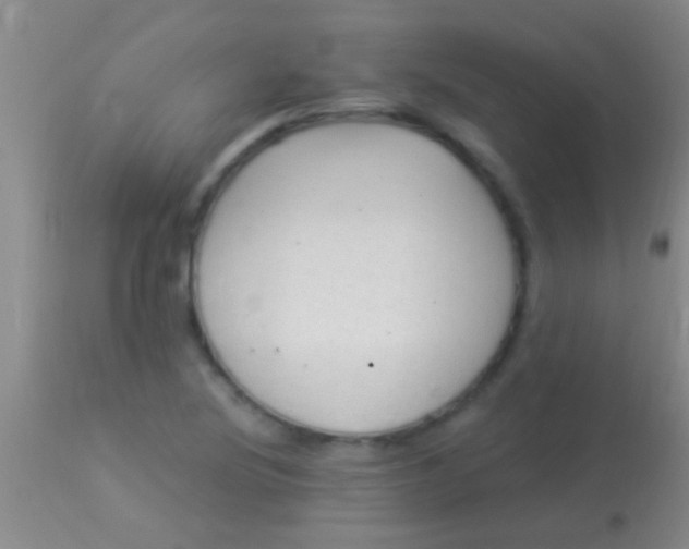 X0000113961220200910161955