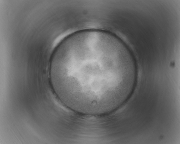 X0000113961222200910161955