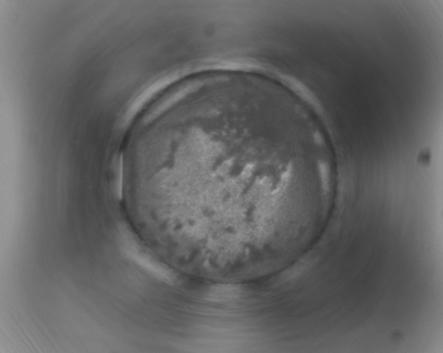 X0000113961223200910161955