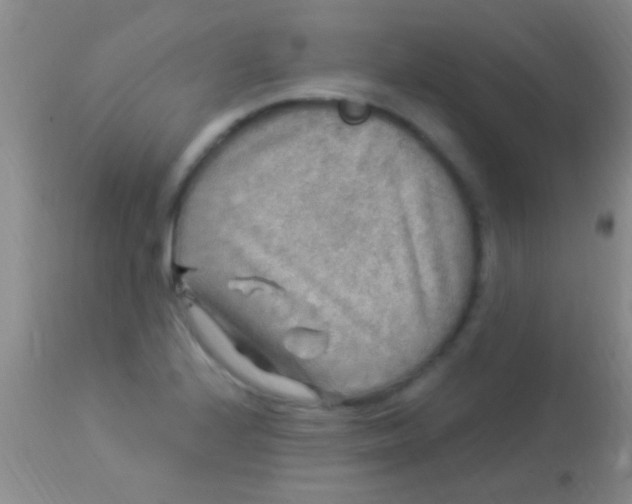 X0000113961224200910161955