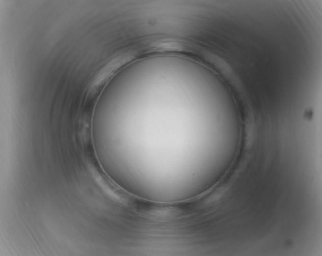 X0000113961225200910161956