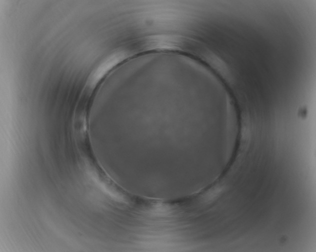 X0000113961226200910161956