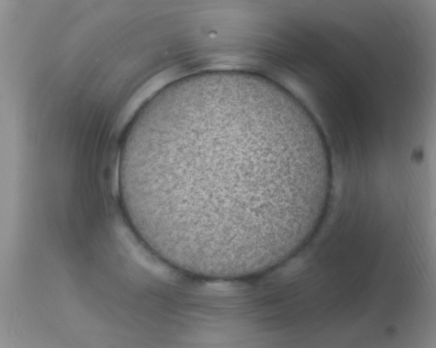 X0000113961227200910161956