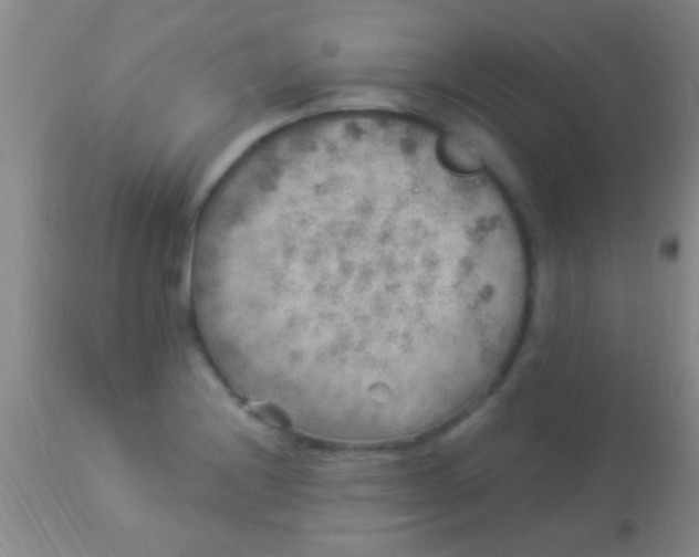 X0000113961228200910161956