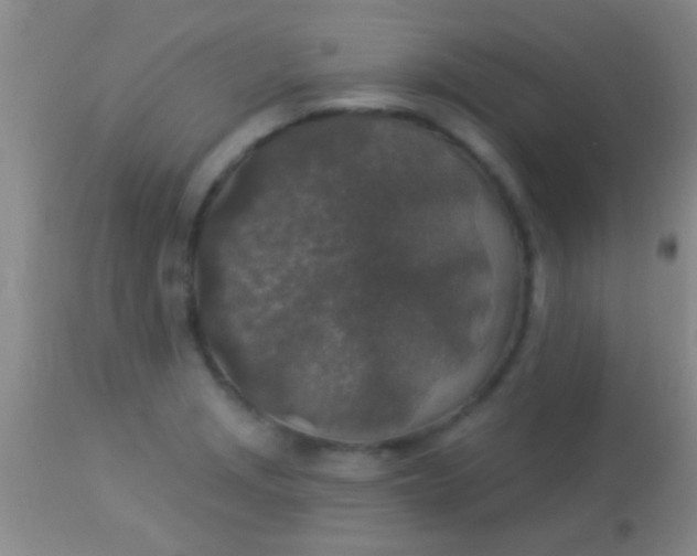 X0000113961229200910161956