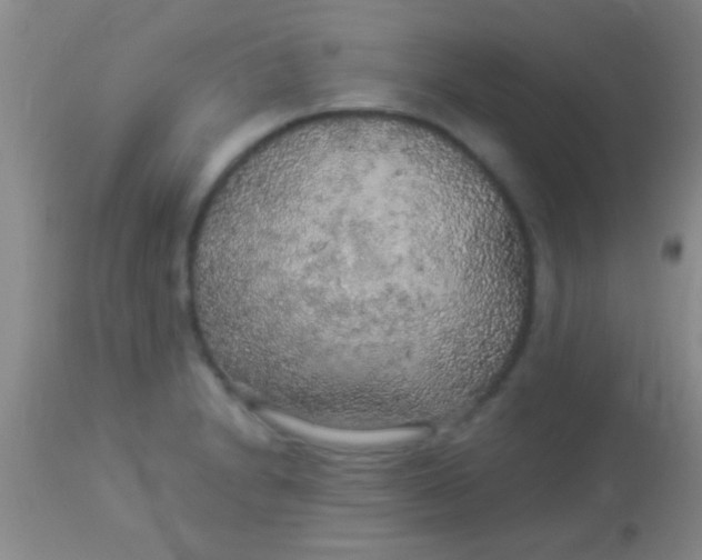 X0000113961230200910161956