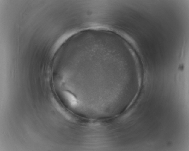 X0000113961231200910161956