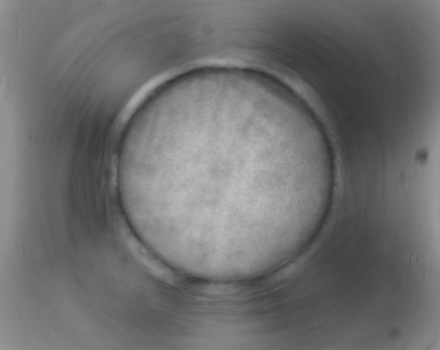 X0000113961232200910161956