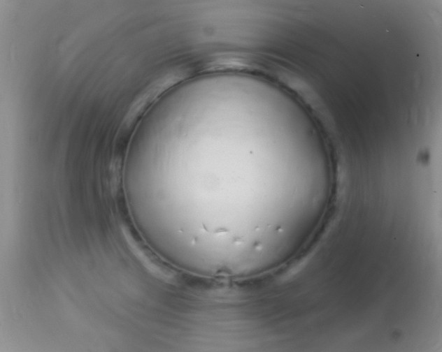 X0000113961233200910161956