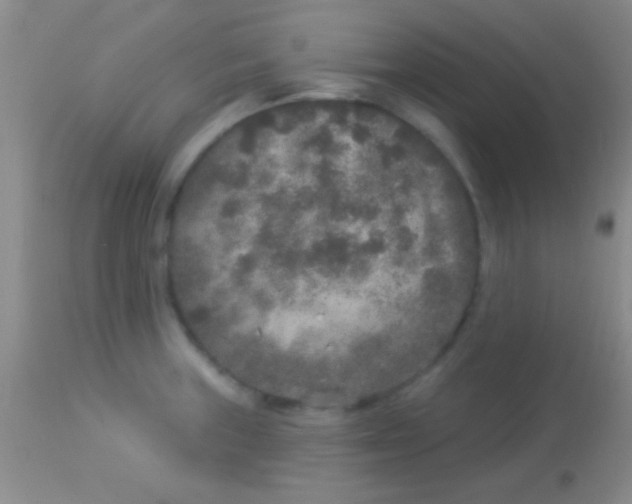 X0000113961235200910161956