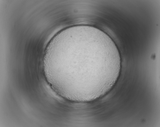 X0000113961236200910161956