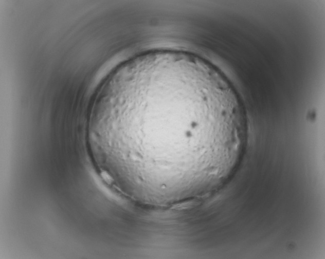 X0000113961237200910161956