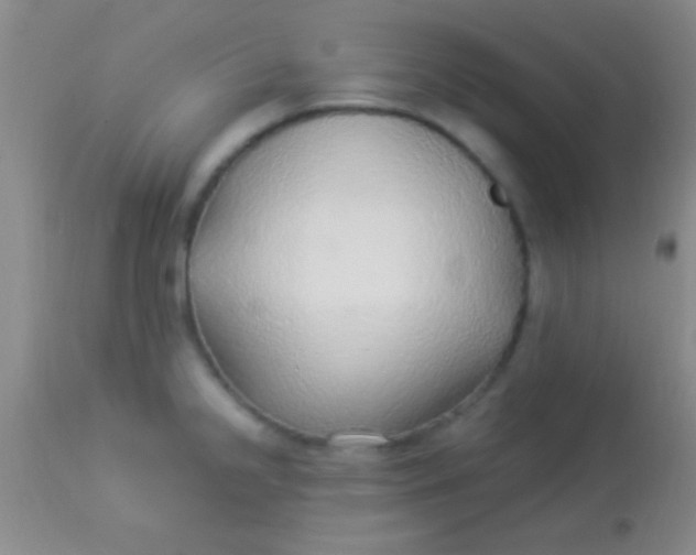 X0000113961238200910161956