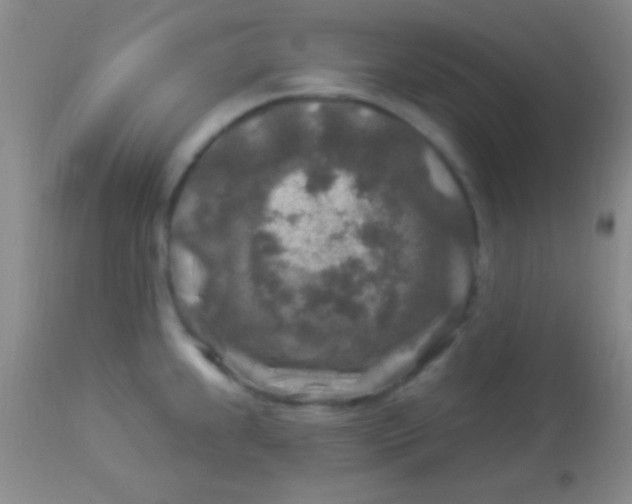 X0000113961239200910161956