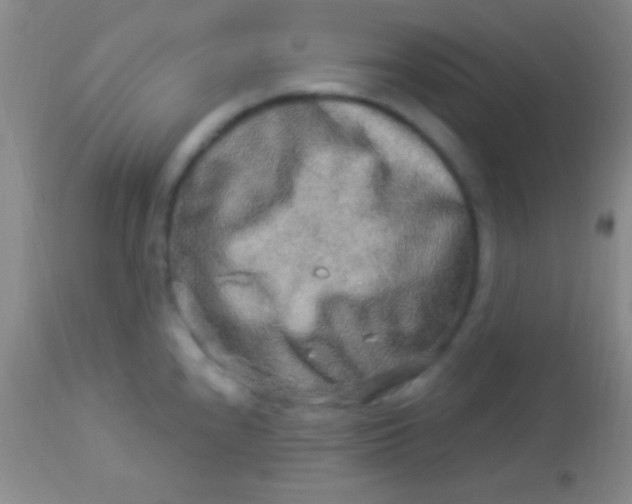 X0000113961240200910161956