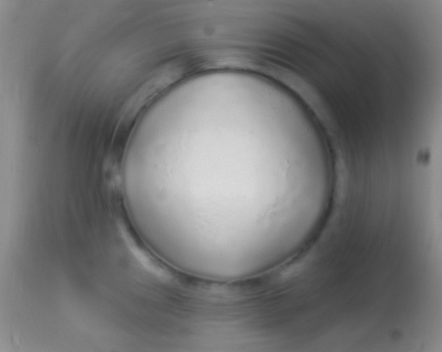 X0000113961241200910161956