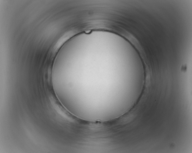 X0000113961242200910161956