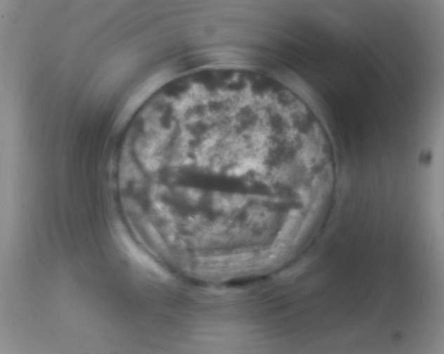 X0000113961243200910161956