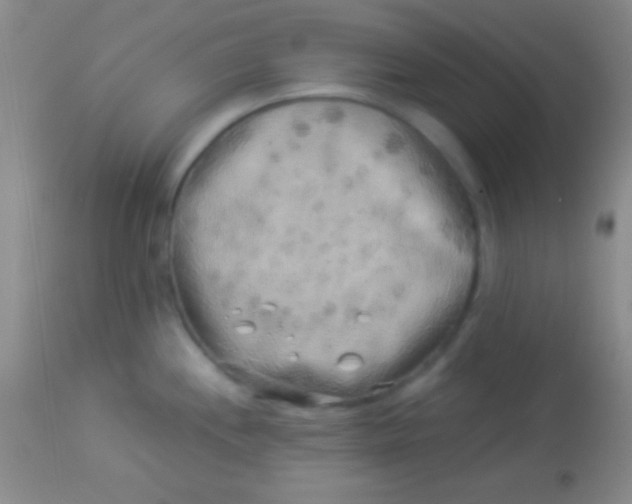 X0000113961244200910161956