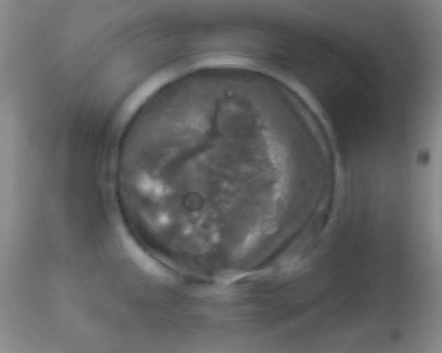 X0000113961245200910161956