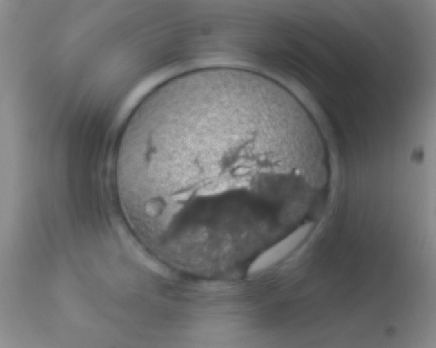 X0000113961246200910161956