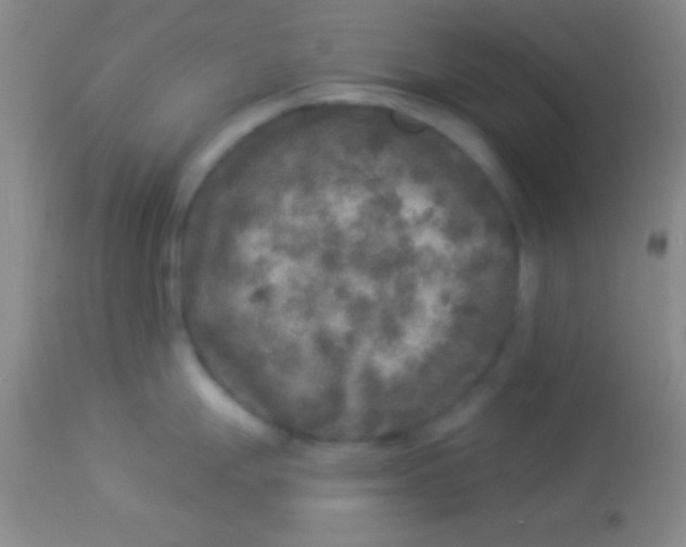 X0000113961247200910161956