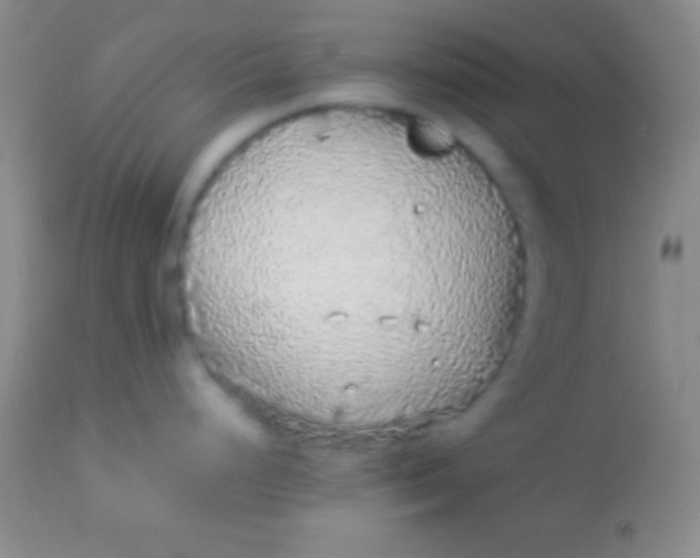 X0000113961248200910161956