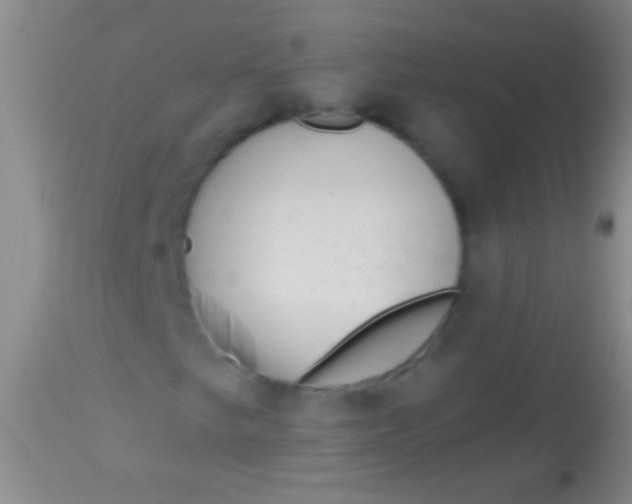 X0000113961249200910161955