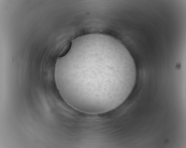 X0000113961250200910161955