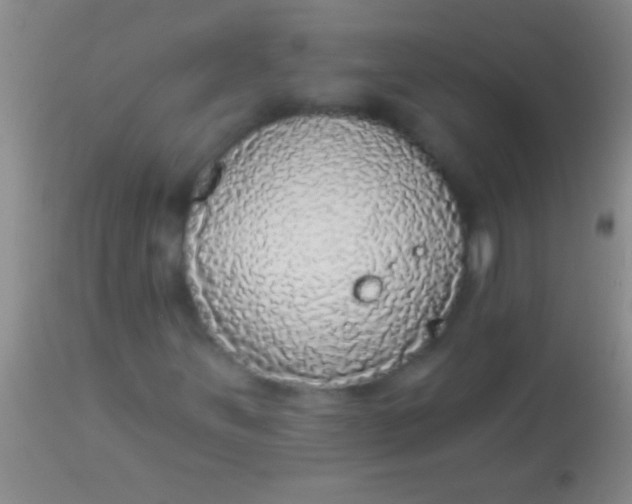 X0000113961251200910161955