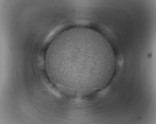 X0000113961252200910161955