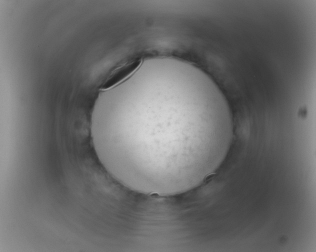 X0000113961253200910161955