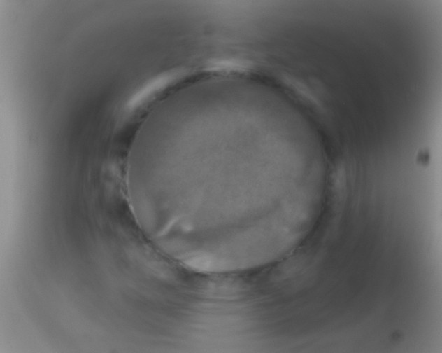 X0000113961254200910161955