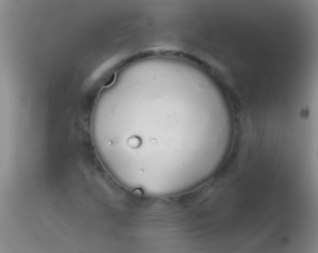 X0000113961255200910161955