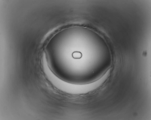 X0000113961256200910161955