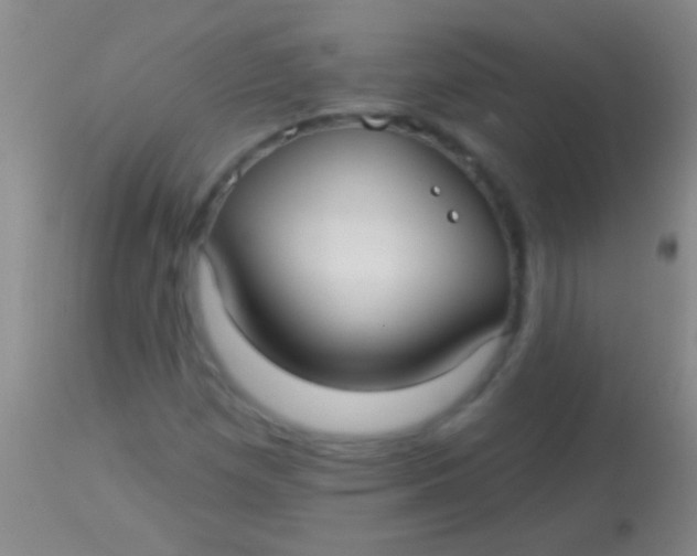 X0000113961257200910161955