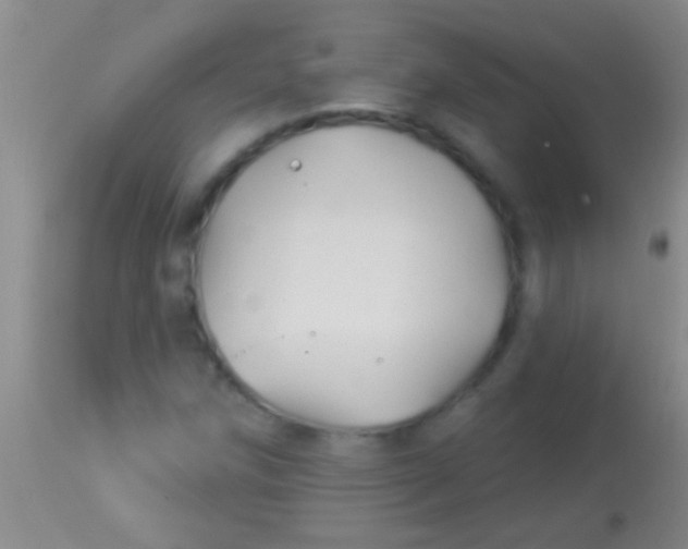 X0000113961258200910161955