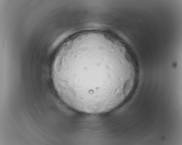 X0000113961259200910161955