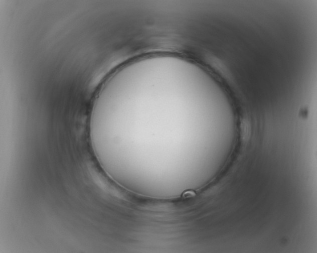 X0000113961260200910161955