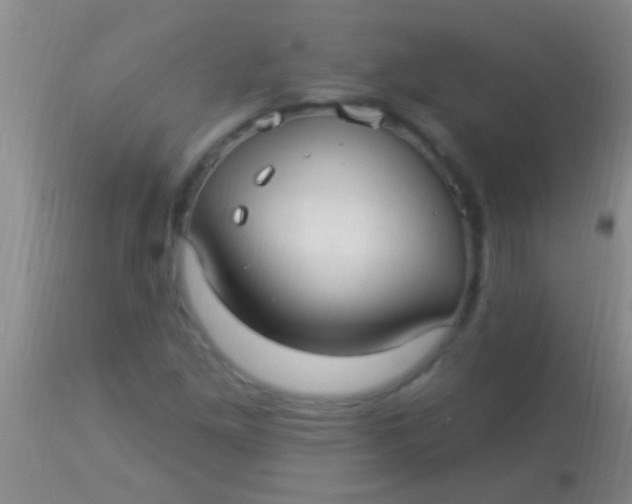 X0000113961261200910161955