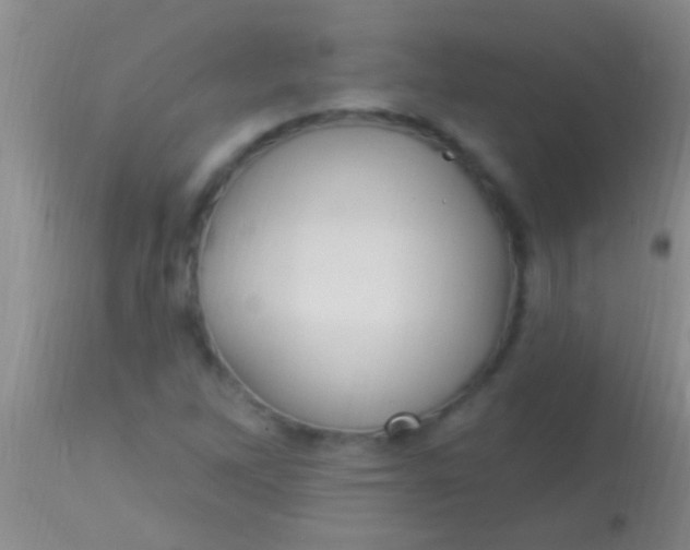 X0000113961262200910161955