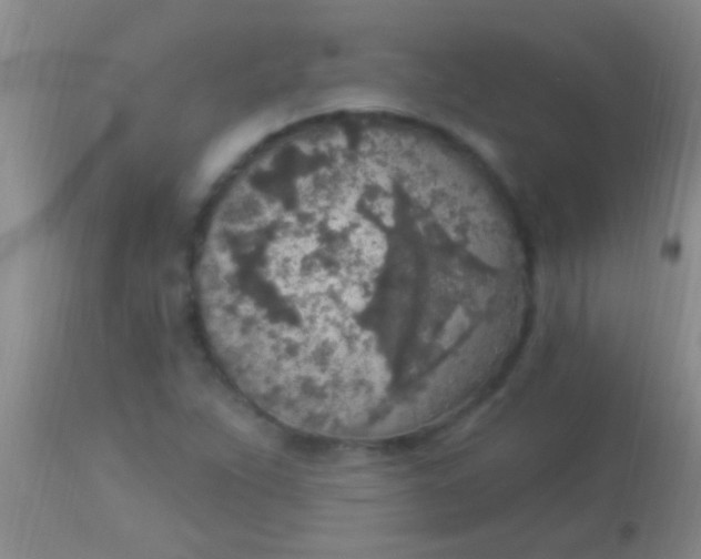 X0000113961263200910161955