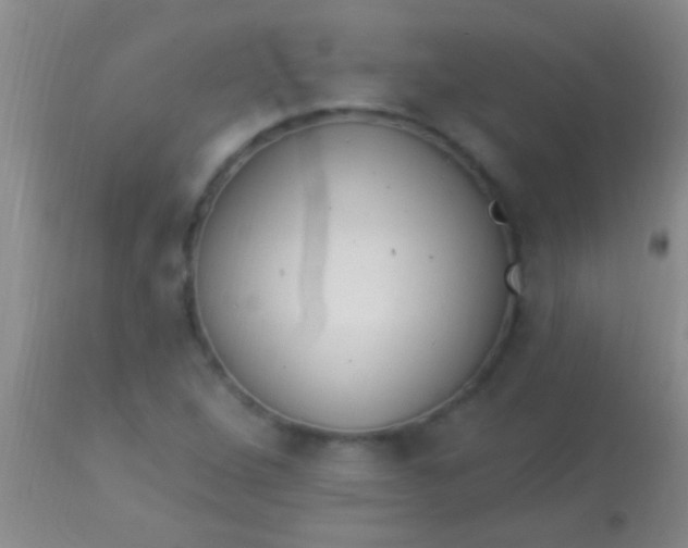 X0000113961264200910161955