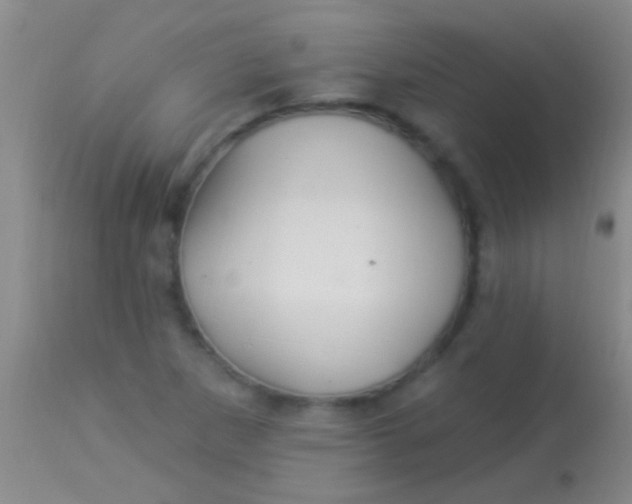 X0000113961265200910161955