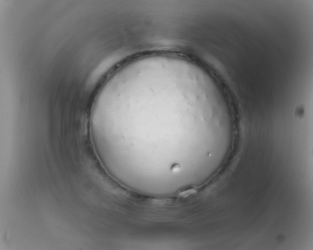 X0000113961267200910161955