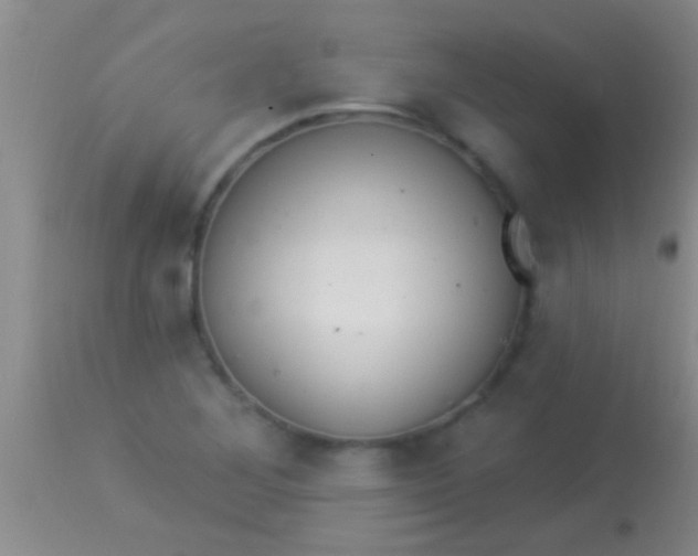 X0000113961268200910161955