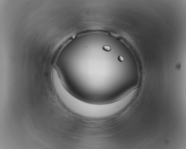 X0000113961269200910161955