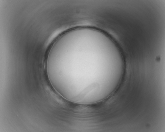 X0000113961270200910161955