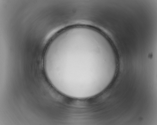 X0000113961271200910161955